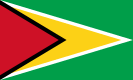 Flag of Guyana