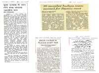 Newspaper Cutting 7